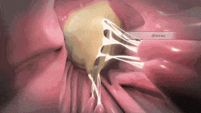 COD单页系统建站,联系QQ:494906791/微信:Cod_web