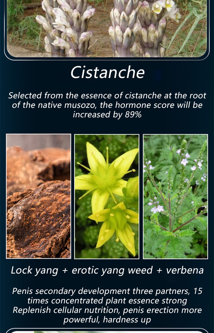 COD单页系统建站,联系QQ:494906791/微信:Cod_web